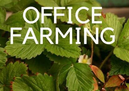 Carrots from the office? Why not?
