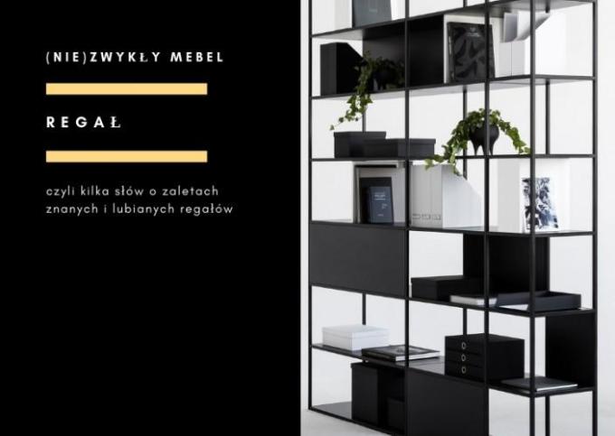 ORDINARY or EXTRAORDINARY a few words about BOOKCASES we all know and like