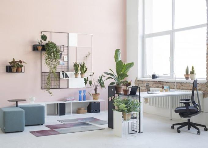 Falling in love ... with one’s office