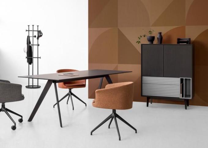 Executive Office Furniture and Company Image