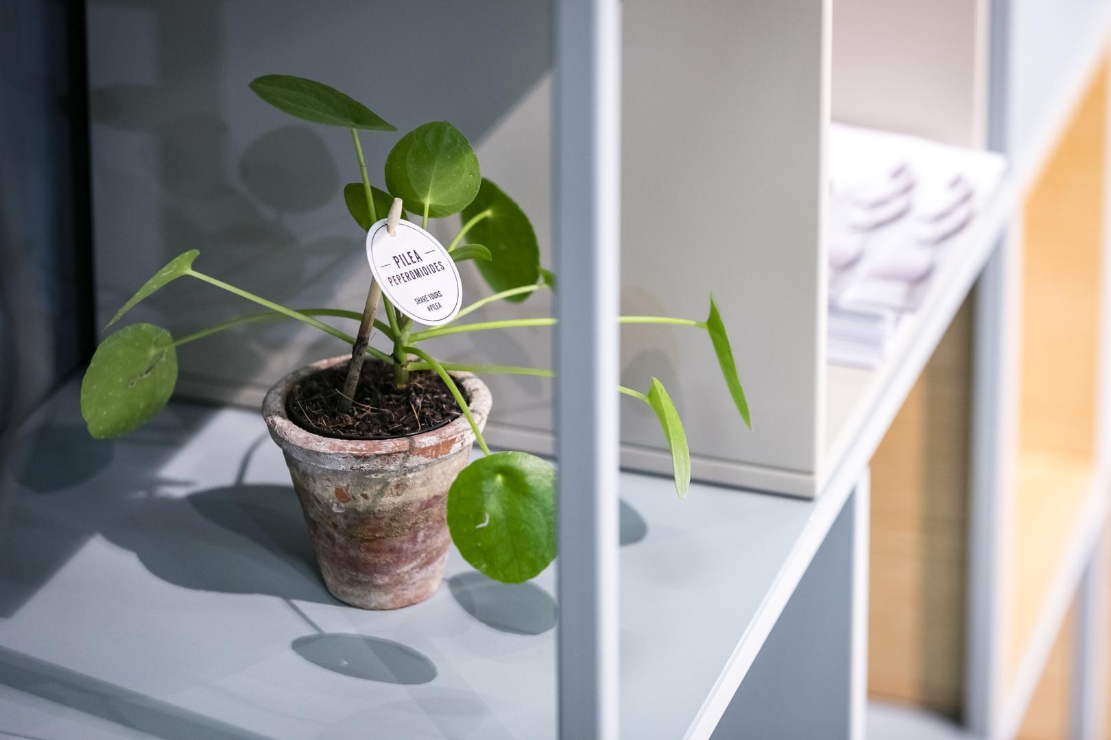 2018-balma-orgatec-social-73.jpg