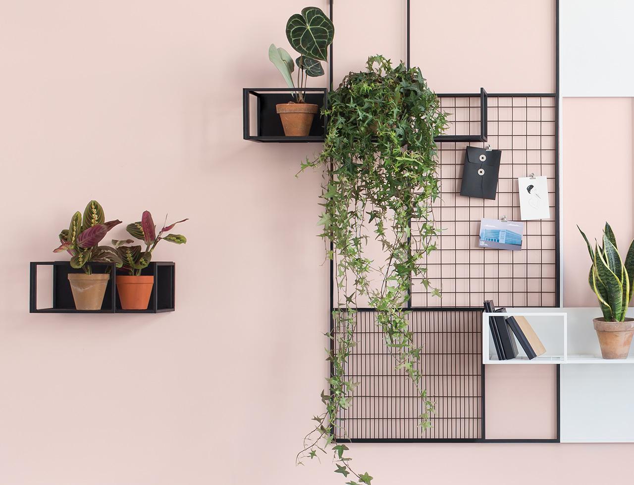 Plant system in the office