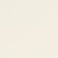 Naturfurniere - Weiss Lackierte Eiche 4949